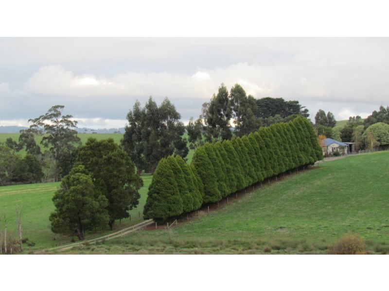 295 Warragul Lardner Road, Warragul VIC 3820