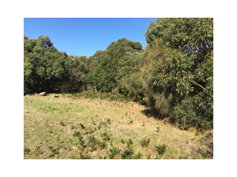 75 Grevillia St, Walkerville VIC 3956