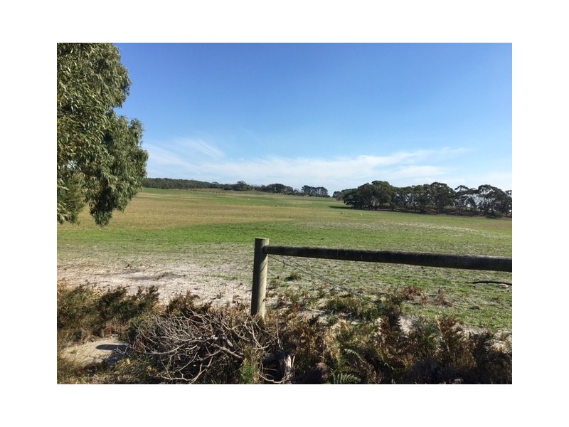 75 Grevillia St, Walkerville VIC 3956