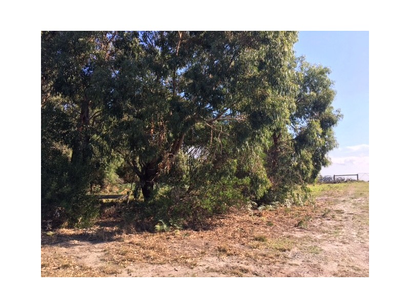 75 Grevillia St, Walkerville VIC 3956