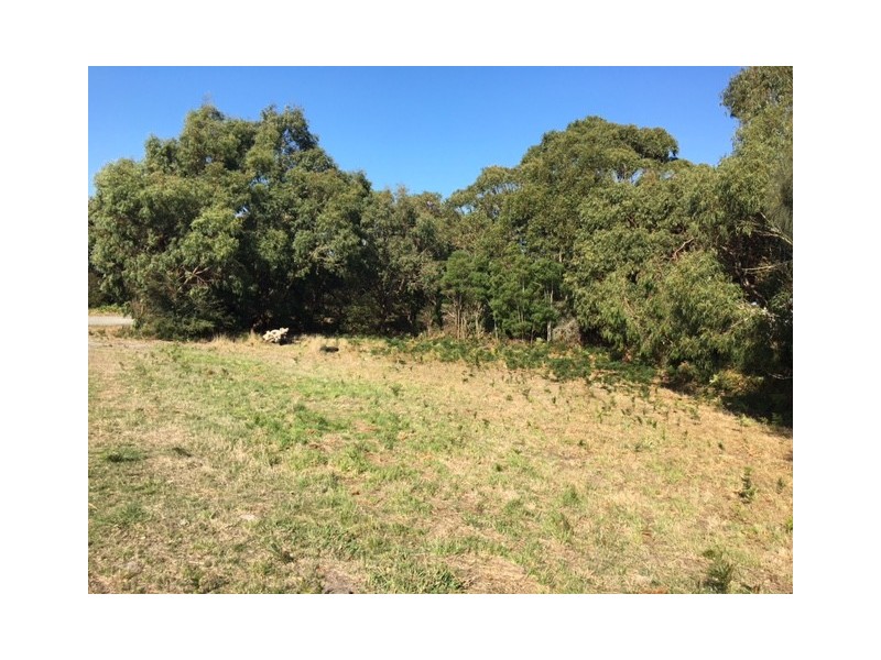 75 Grevillia St, Walkerville VIC 3956