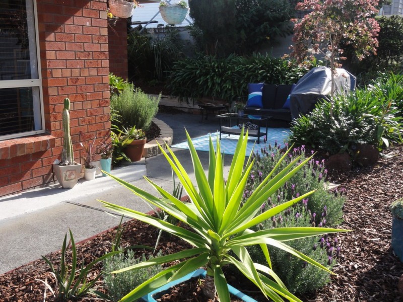 28 Wood Rd, Foster VIC 3960