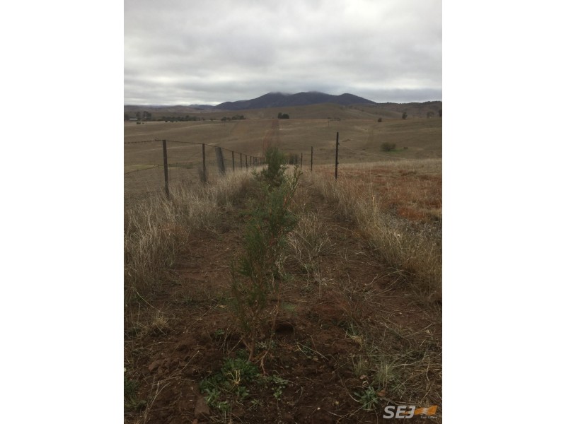 508 Parish Boundary Lane, Hinnomunjie VIC 3898