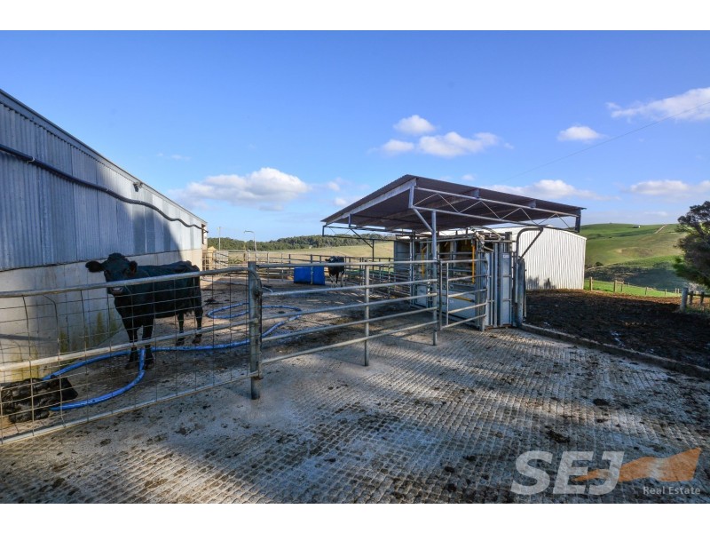 245 DENHAMS ROAD, Hallston VIC 3953