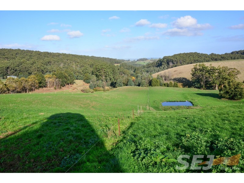 245 DENHAMS ROAD, Hallston VIC 3953