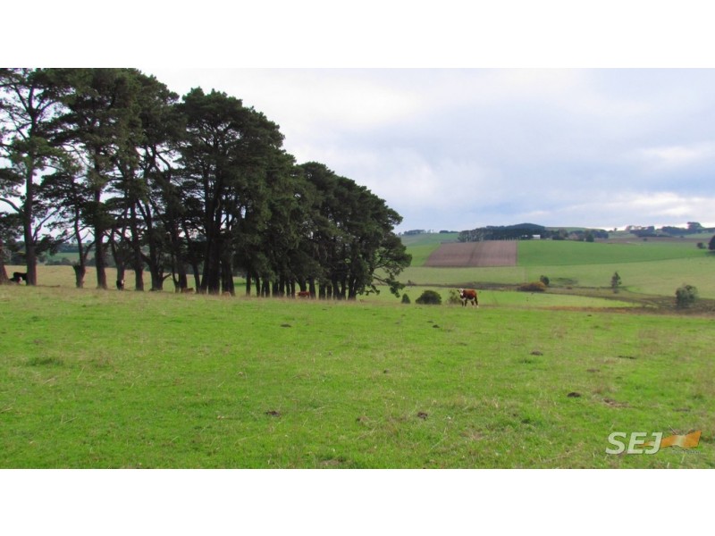 Lot 2, 2422 McDonalds Track,, Thorpdale VIC 3835