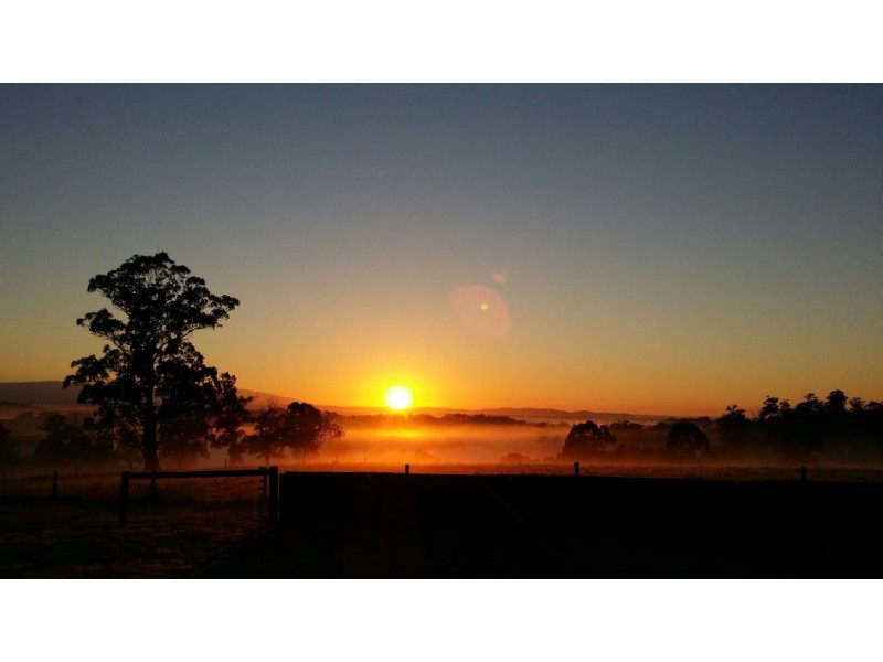 244 Dawsons Track, Nilma North VIC 3821