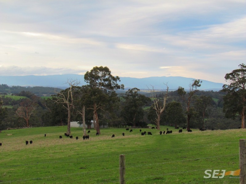 244 Dawsons Track, Nilma North VIC 3821