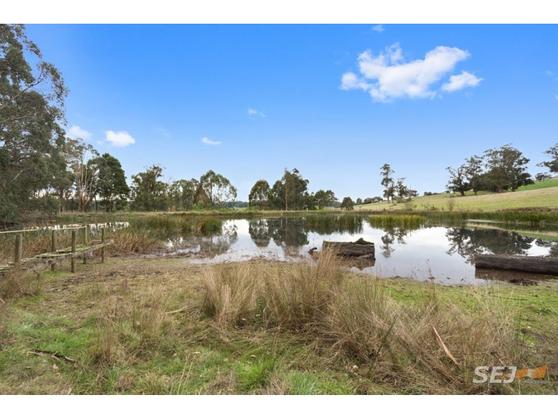 244 Dawsons Track, Nilma North VIC 3821