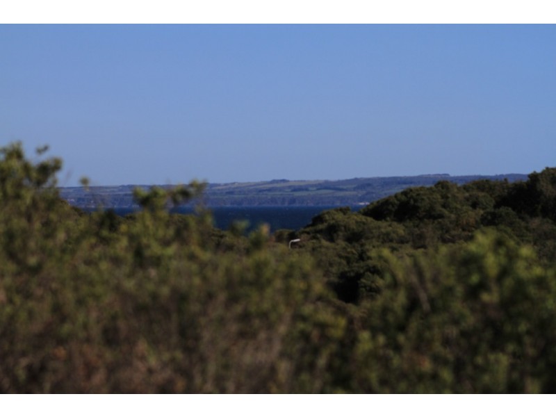 42 Oceanview Pde, Sandy Point VIC 3959