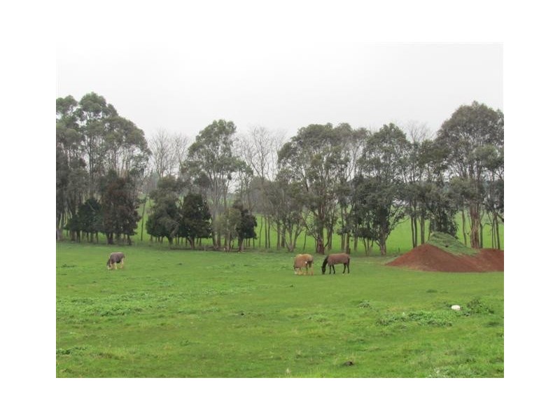 Lot 2 / 2570 Main Neerim Road, Neerim VIC 3831