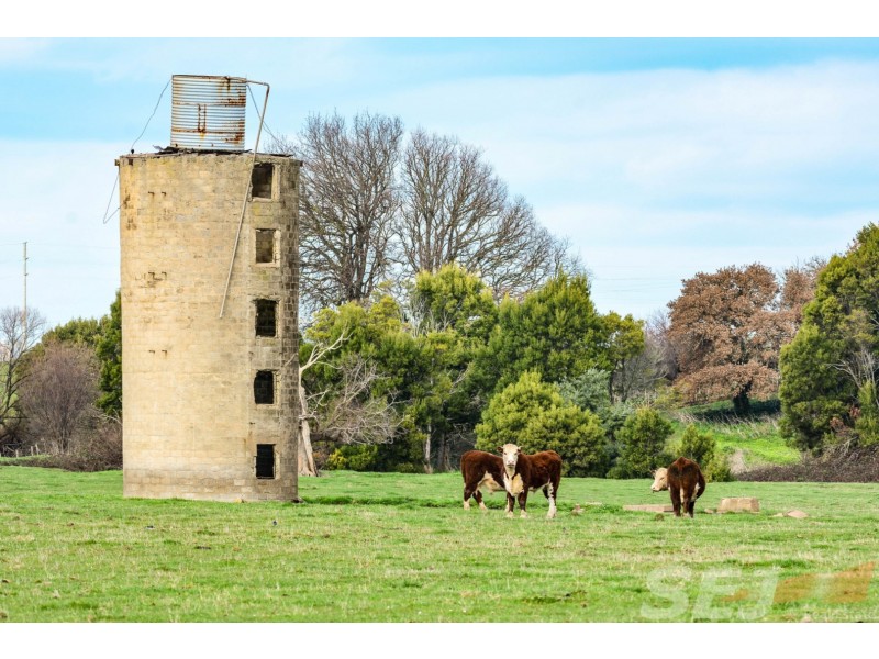 . Strzelecki Hwy, Leongatha VIC 3953