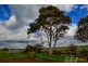 . Strzelecki Hwy, Leongatha VIC 3953