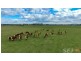 . Strzelecki Hwy, Leongatha VIC 3953