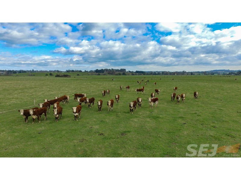. Strzelecki Hwy, Leongatha VIC 3953