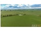 . Strzelecki Hwy, Leongatha VIC 3953