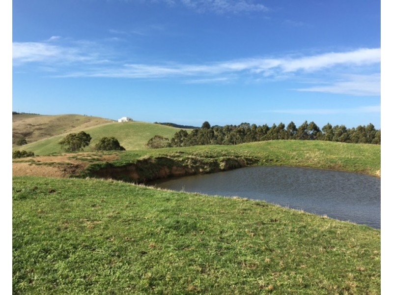 2 Peaches Rd, Foster VIC 3960