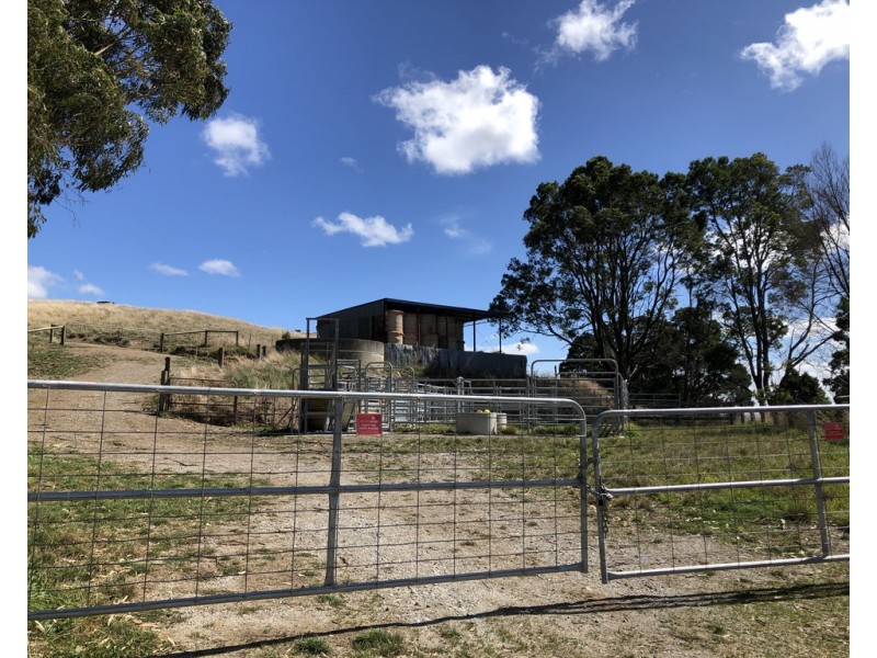 2 Peaches Rd, Foster VIC 3960