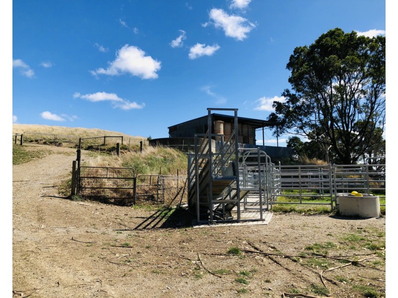 2 Peaches Rd, Foster VIC 3960