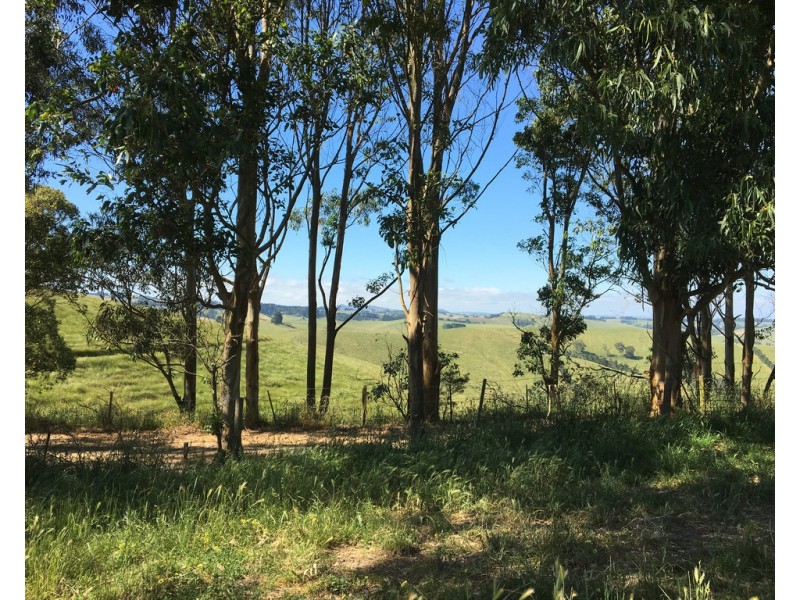 2 Peaches Rd, Foster VIC 3960