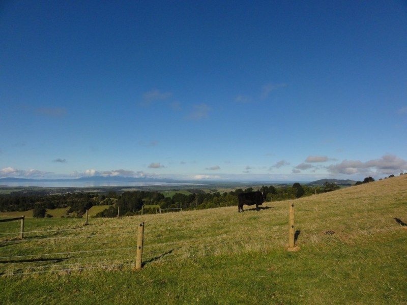 Lot 2, 3285 South Gippsland Hwy, Foster VIC 3960