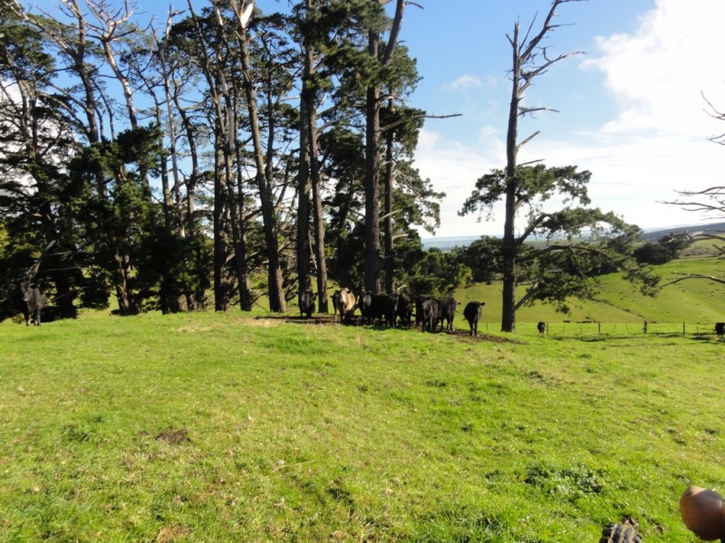 Lot 2, 3285 South Gippsland Hwy, Foster VIC 3960