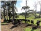 Lot 2, 3285 South Gippsland Hwy, Foster VIC 3960