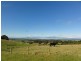 Lot 2, 3285 South Gippsland Hwy, Foster VIC 3960