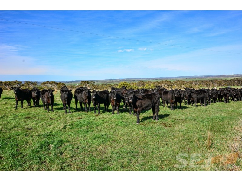 1016 Tarwin Lower Road, Middle Tarwin VIC 3956