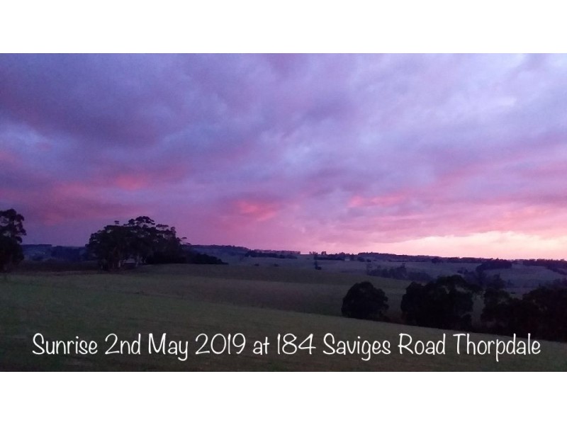 184 Saviges Road, Thorpdale VIC 3835