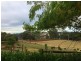 184 Saviges Road, Thorpdale VIC 3835