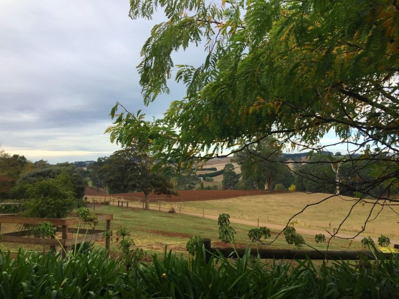 184 Saviges Road, Thorpdale VIC 3835