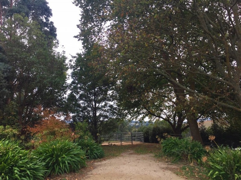 184 Saviges Road, Thorpdale VIC 3835