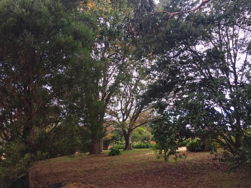 184 Saviges Road, Thorpdale VIC 3835