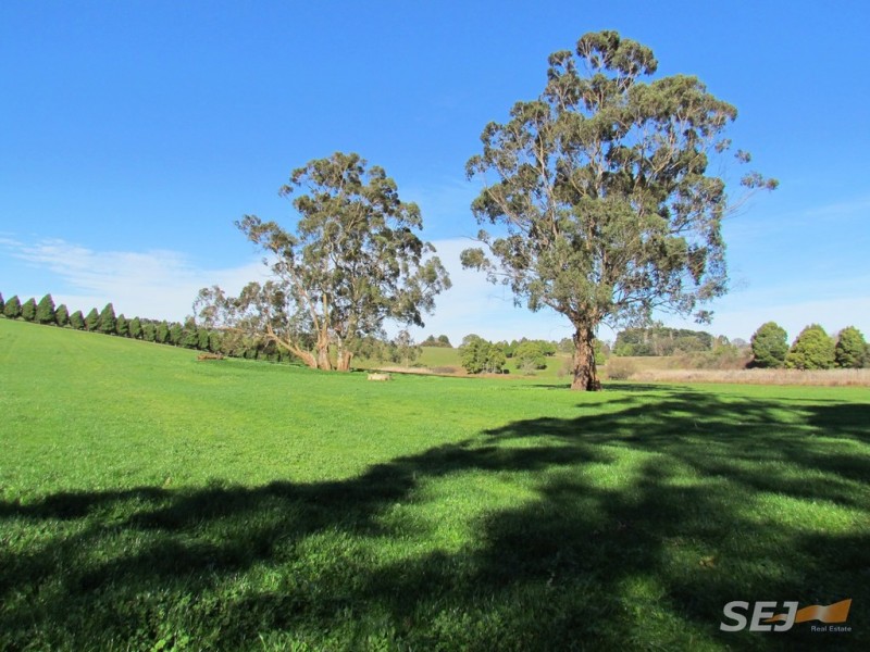 LOT 1 ON TP379503, RHODES ROAD, Darnum VIC 3822
