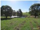 LOT 1 ON TP379503, RHODES ROAD, Darnum VIC 3822