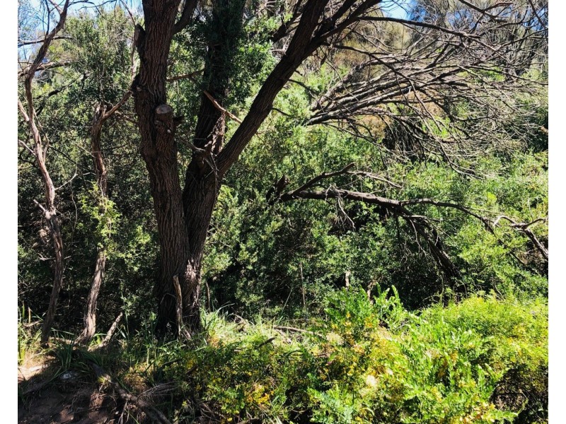 20 Sandy Point Rd, Sandy Point VIC 3959