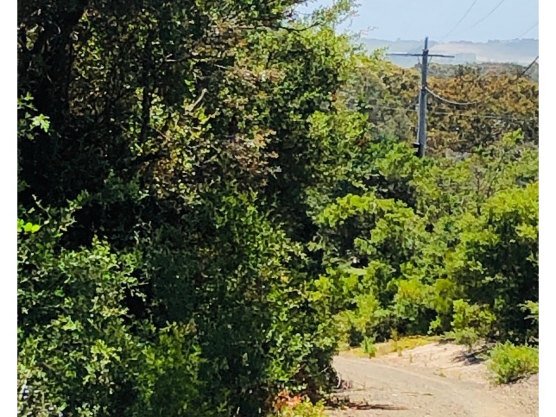 20 Sandy Point Rd, Sandy Point VIC 3959