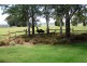 Lot 3/805 Koonwarra – Inverloch Rd,, Leongatha South VIC 3953
