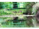 Lot 3/805 Koonwarra – Inverloch Rd,, Leongatha South VIC 3953