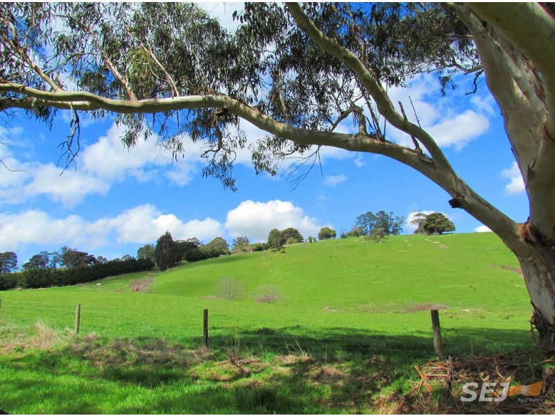 LOT 1 GALLAGHERS LANE, Yarragon South VIC 3823