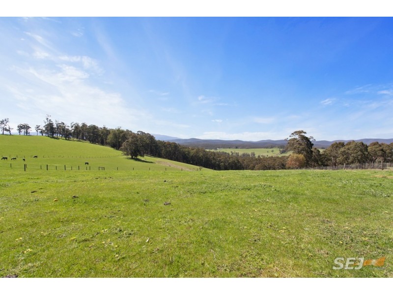 2378 Willow Grove Road, Hill End VIC 3825