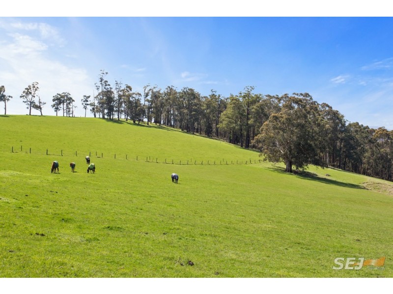 2378 Willow Grove Road, Hill End VIC 3825