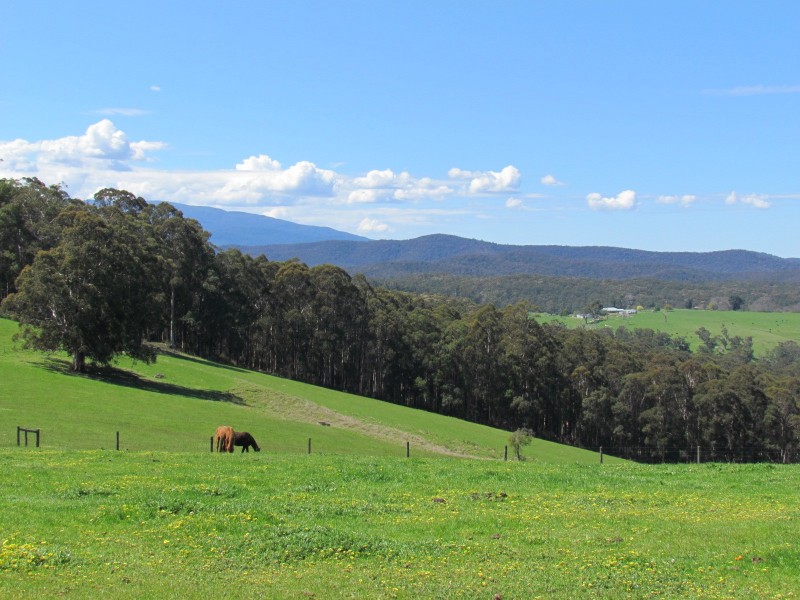 2378 Willow Grove Road, Hill End VIC 3825