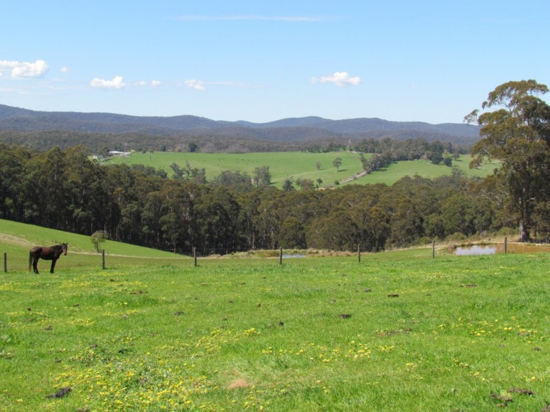 2378 Willow Grove Road, Hill End VIC 3825