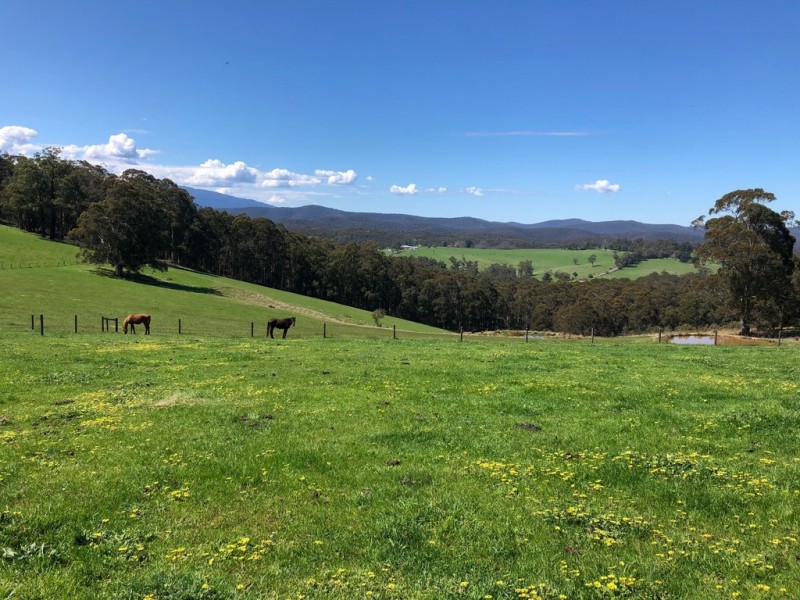 2378 Willow Grove Road, Hill End VIC 3825