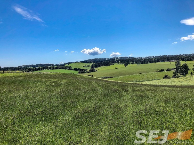 885 Berrys Creek Road, Mirboo North VIC 3871
