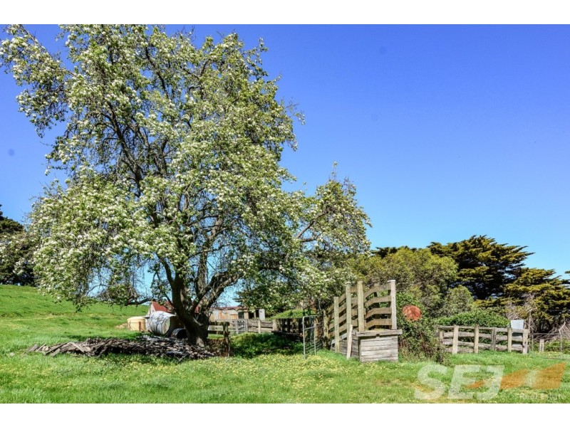 222 Ross and Witherdens Rd, Strzelecki VIC 3950
