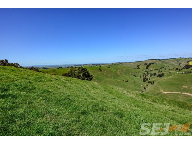 222 Ross and Witherdens Rd, Strzelecki VIC 3950