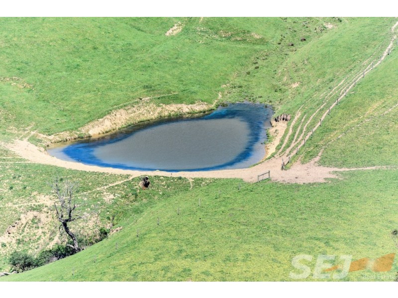 222 Ross and Witherdens Rd, Strzelecki VIC 3950